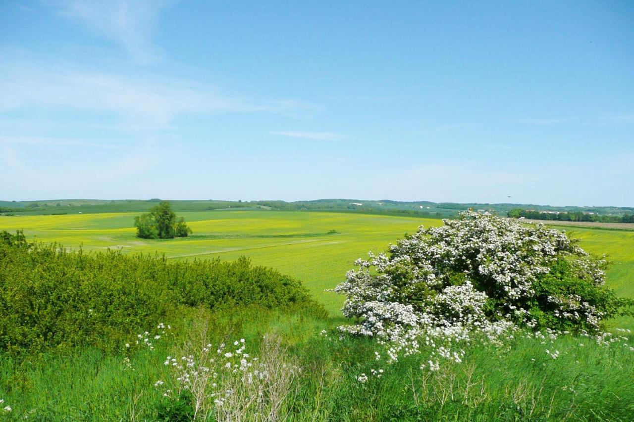 Ferienwohnung Mit Balkon Und Meerblick - Ferienresidenz Zwei Bodden Fewo 1-4 Lietzow Extérieur photo